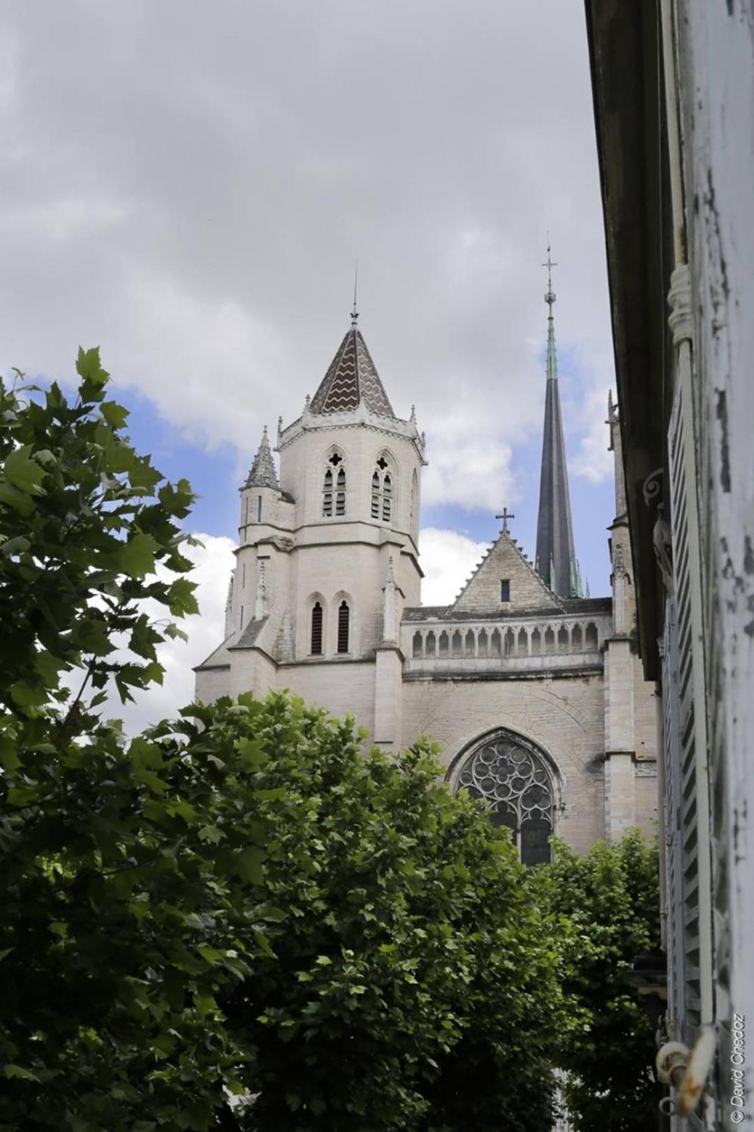 La Chouette Apartment Dijon Exterior foto